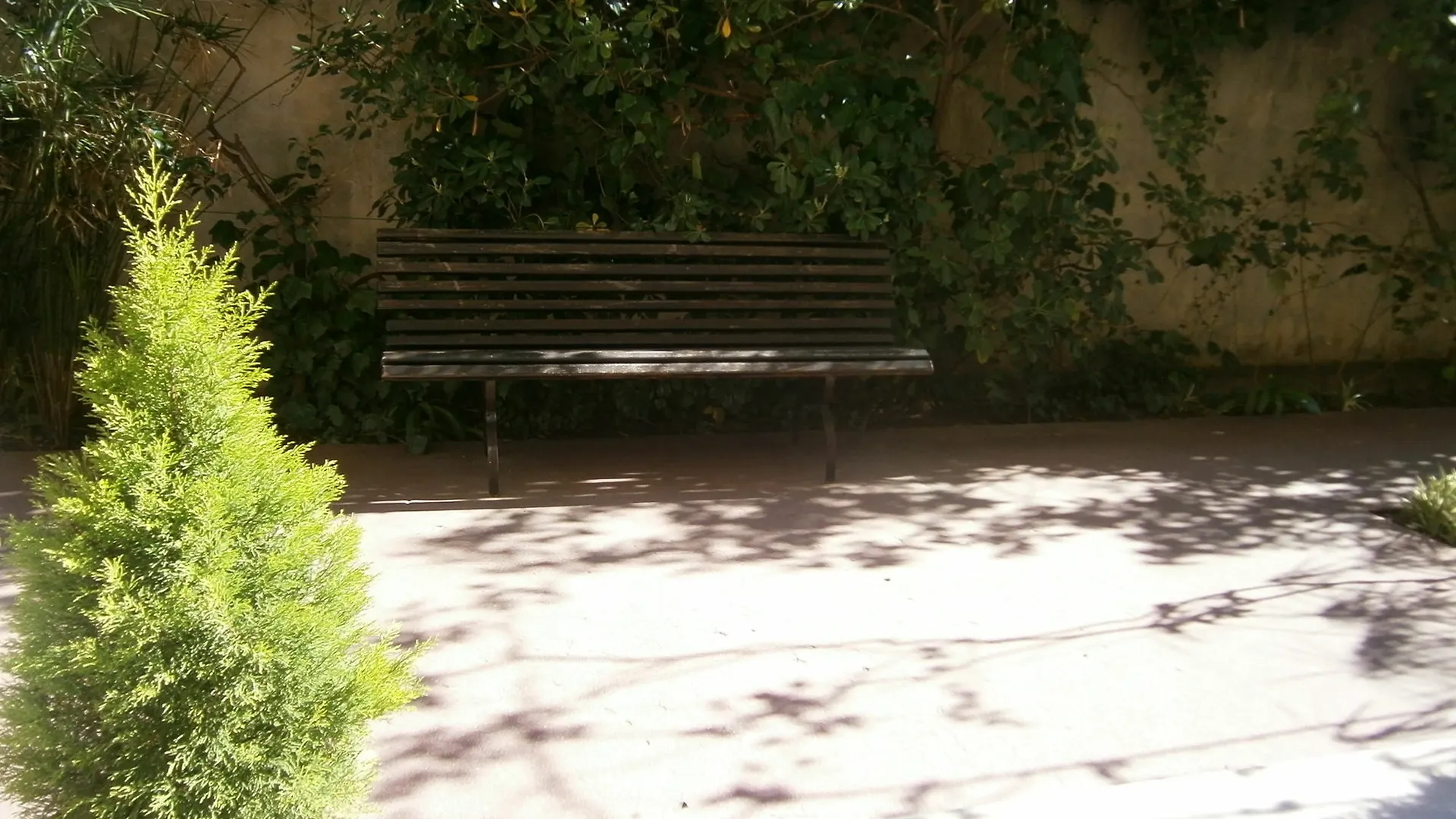 Congress Studio Cannes Apartment