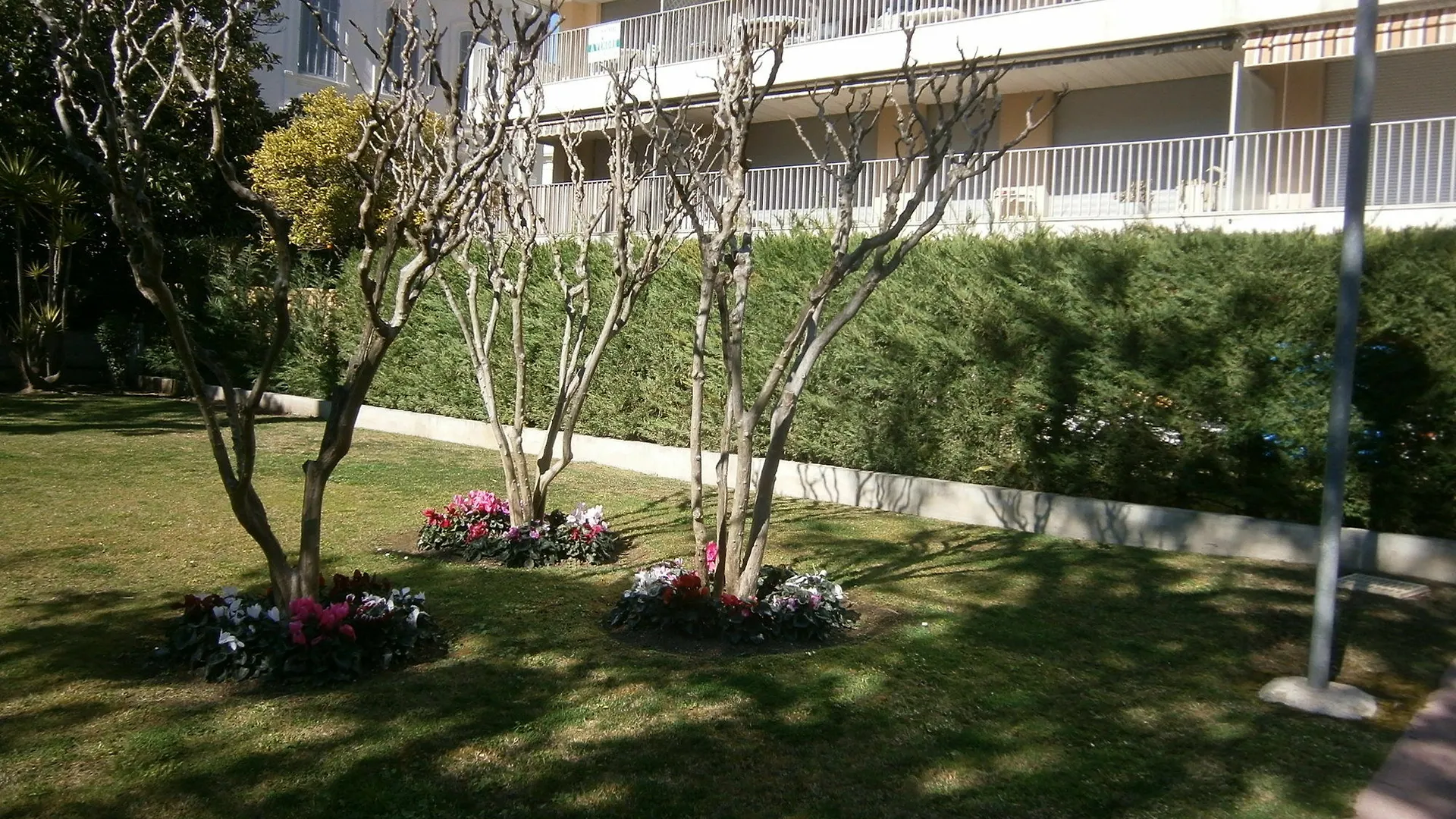 Congress Studio Κάννες 0*,